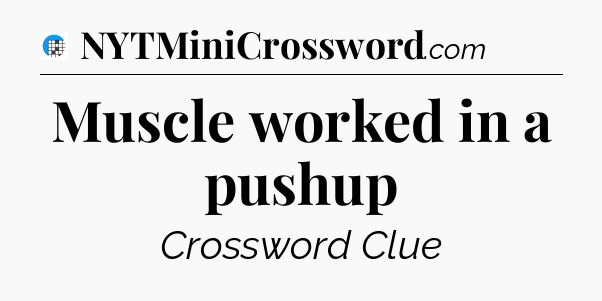 Muscle worked in a pushup Crossword Clue