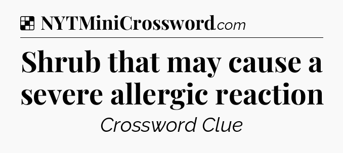 Solution: Shrub that may cause a severe allergic reaction - NYT Crossword