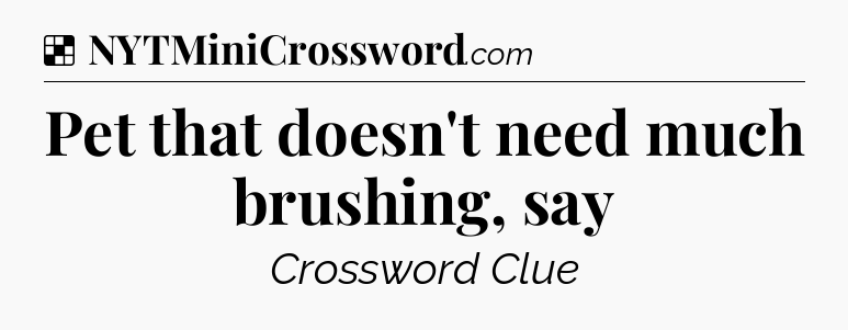 Solution: Pet that doesn't need much brushing, say - NYT Crossword