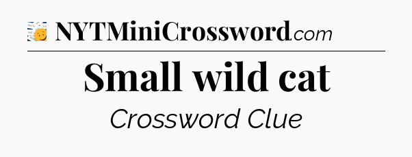 Small wild cat - 7 Little Words