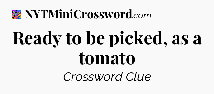 Ready to be picked, as a tomato Crossword Clue
