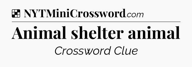 Solution: Animal shelter animal - NYT Crossword