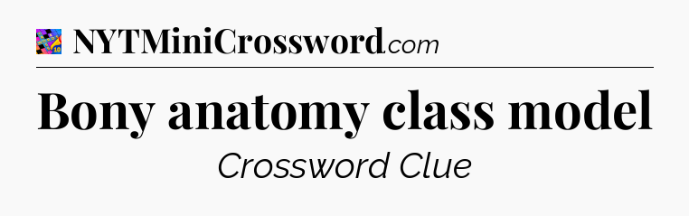 Bony anatomy class model Crossword Clue