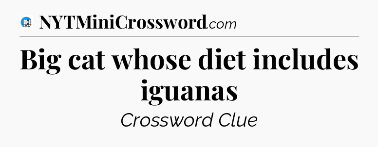 Big cat whose diet includes iguanas Crossword Clue
