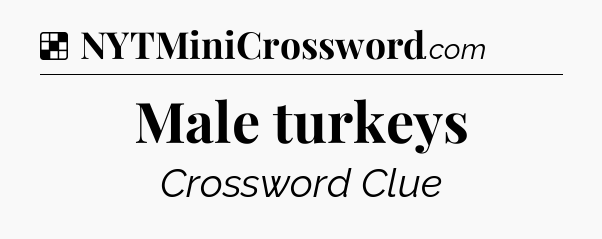 Solution: Male turkeys - NYT Crossword