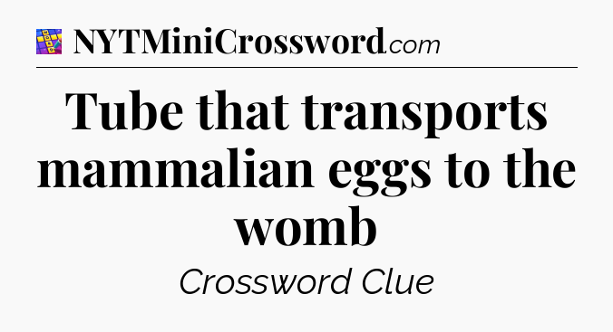 Tube that transports mammalian eggs to the womb Codycross