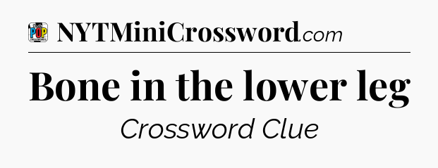 Bone in the lower leg Crossword Clue