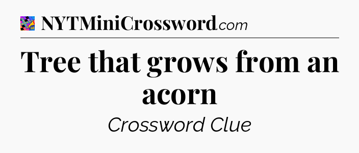 Tree that grows from an acorn Crossword Clue