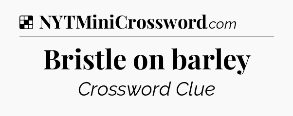 Solution: Bristle on barley - NYT Crossword