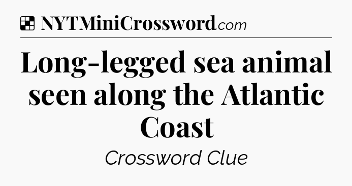 Solution: Long-legged sea animal seen along the Atlantic Coast - NYT Crossword