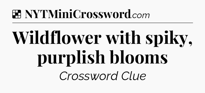 Solution: Wildflower with spiky, purplish blooms - NYT Crossword