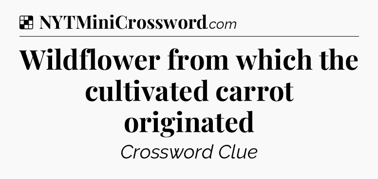 Solution: Wildflower from which the cultivated carrot originated - NYT Crossword