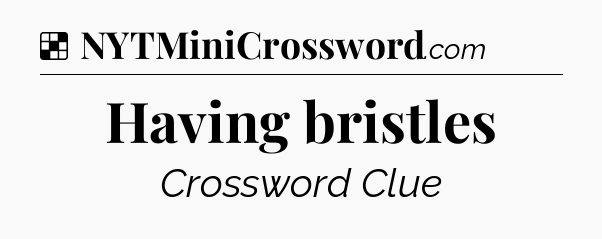 Solution: Having bristles - NYT Crossword
