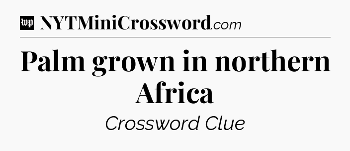 Palm grown in northern Africa Crossword Clue