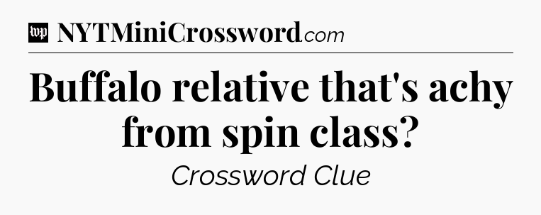 Buffalo relative that's achy from spin class Crossword Clue