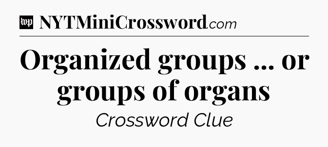 Organized groups ... or groups of organs Crossword Clue