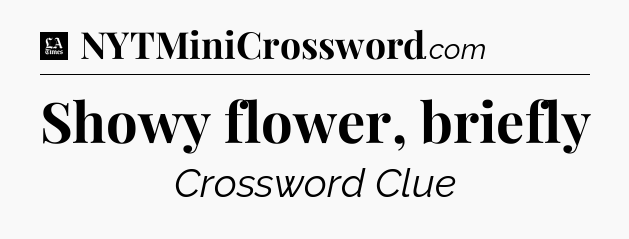 Showy flower, briefly - LA Times Crossword