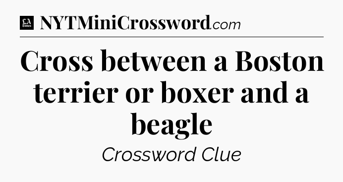 Cross between a Boston terrier or boxer and a beagle - LA Times Crossword