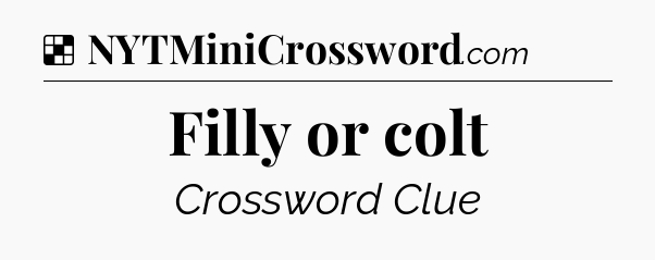 Solution: Filly or colt - NYT Crossword