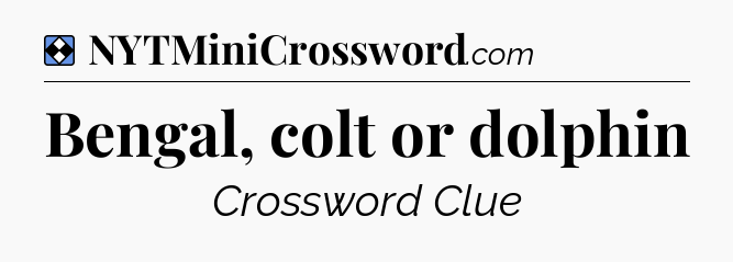Solution: Bengal, colt or dolphin - NYT Mini Crossword