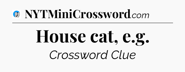 House cat, e.g Crossword Clue