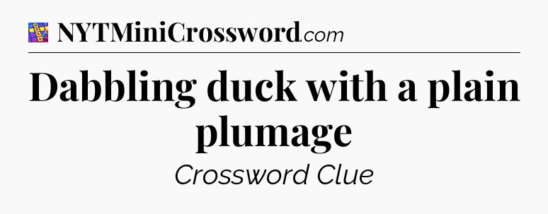 Dabbling duck with a plain plumage Codycross