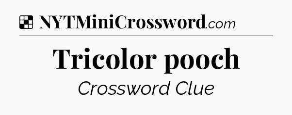 Solution: Tricolor pooch - NYT Crossword