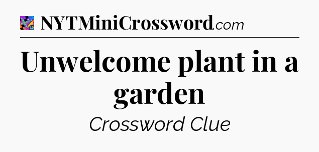 Unwelcome plant in a garden Crossword Clue