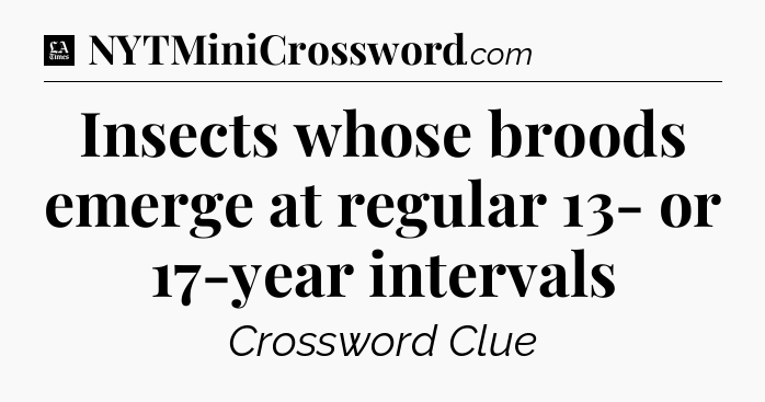 Insects whose broods emerge at regular 13- or 17-year intervals - LA Times Crossword
