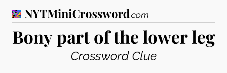 Bony part of the lower leg Crossword Clue