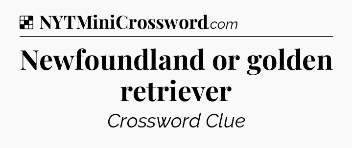 Solution: Newfoundland or golden retriever - NYT Crossword