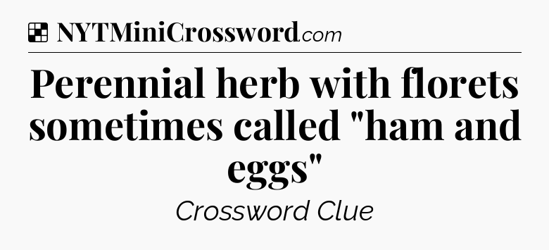 Solution: Perennial herb with florets sometimes called 