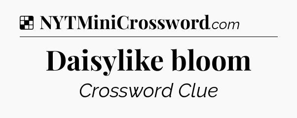 Solution: Daisylike bloom - NYT Crossword