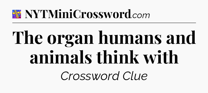 The organ humans and animals think with Codycross