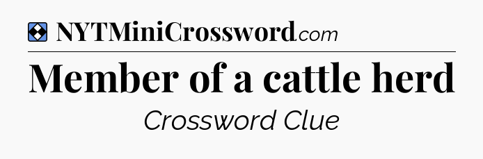 Solution: Member of a cattle herd - NYT Mini Crossword