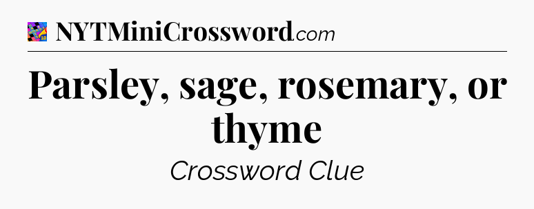 Parsley, sage, rosemary, or thyme Crossword Clue