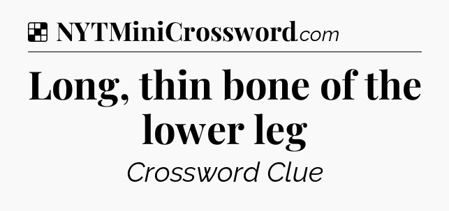Solution: Long, thin bone of the lower leg - NYT Crossword