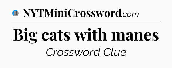 Big cats with manes Crossword Clue