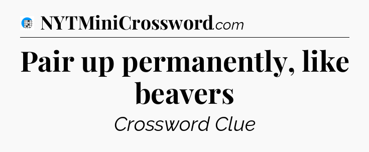Pair up permanently, like beavers Crossword Clue