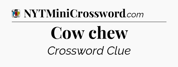Cow chew Crossword Clue