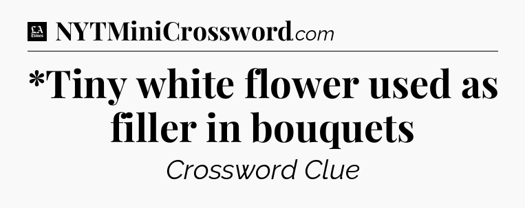 *Tiny white flower used as filler in bouquets - LA Times Crossword