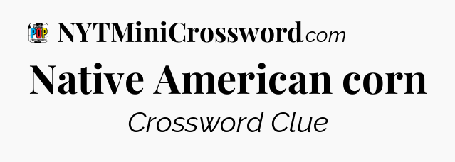 Native American corn Crossword Clue