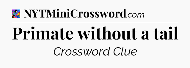 Primate without a tail Crossword Clue