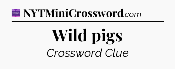 Wild pigs - Thomas Joseph Crossword