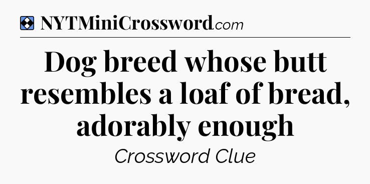 Solution: Dog breed whose butt resembles a loaf of bread, adorably enough - NYT Mini Crossword