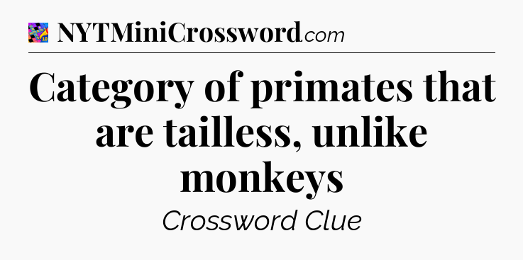 Category of primates that are tailless, unlike monkeys Crossword Clue