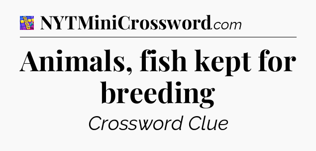 Animals, fish kept for breeding Codycross