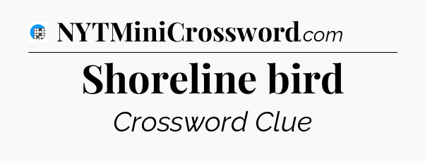 Shoreline bird Crossword Clue