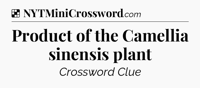 Solution: Product of the Camellia sinensis plant - NYT Crossword