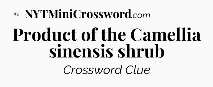 Product of the Camellia sinensis shrub - WSJ Crossword